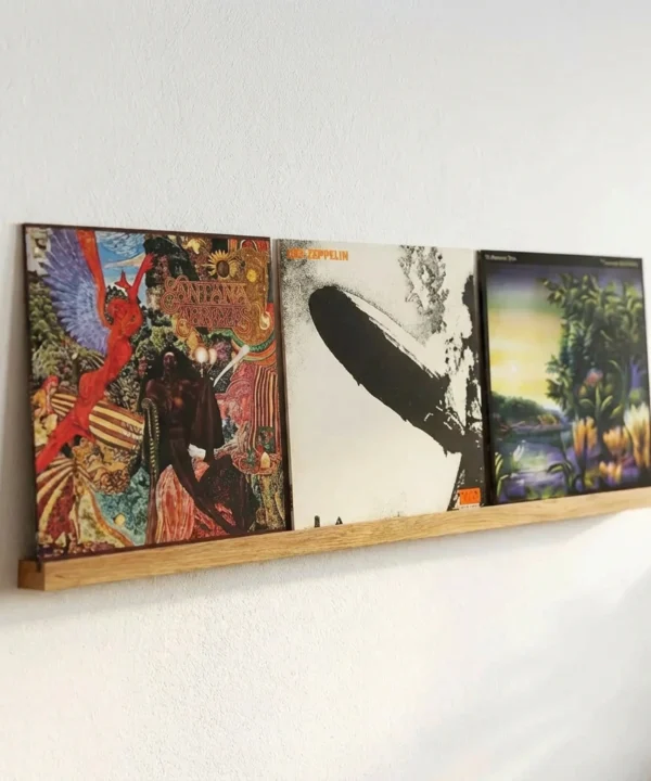 Vinyl Record Shelf