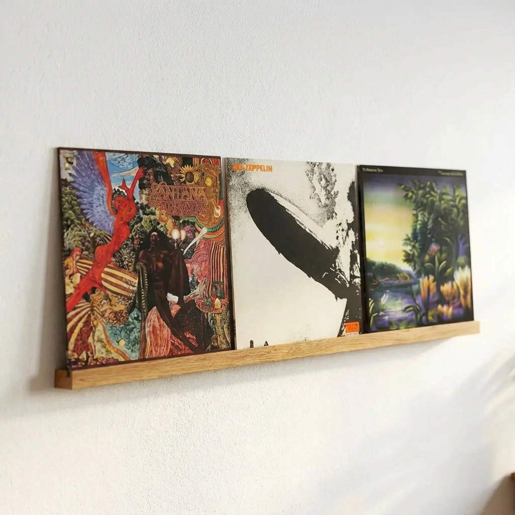 Vinyl Record Shelf
